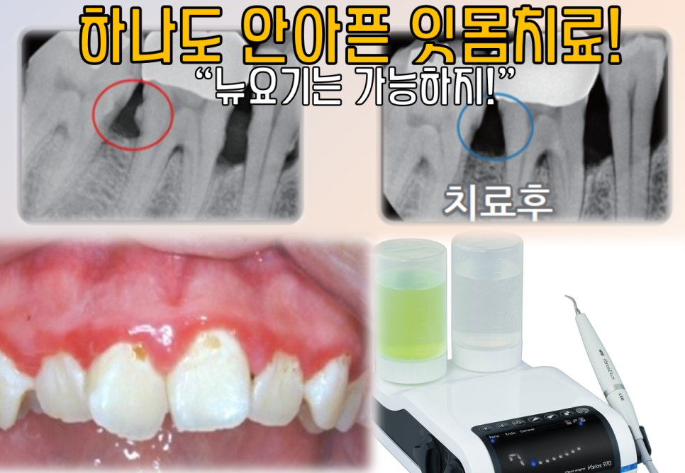 뉴욕굿모닝치과의원 이미지