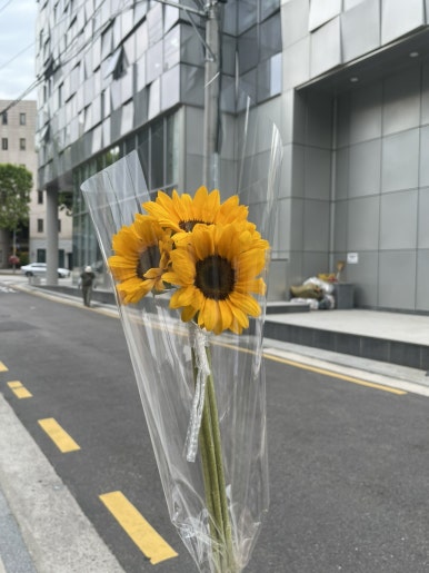 허브인러브플라워 이미지