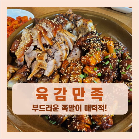 육감만족원종점 이미지
