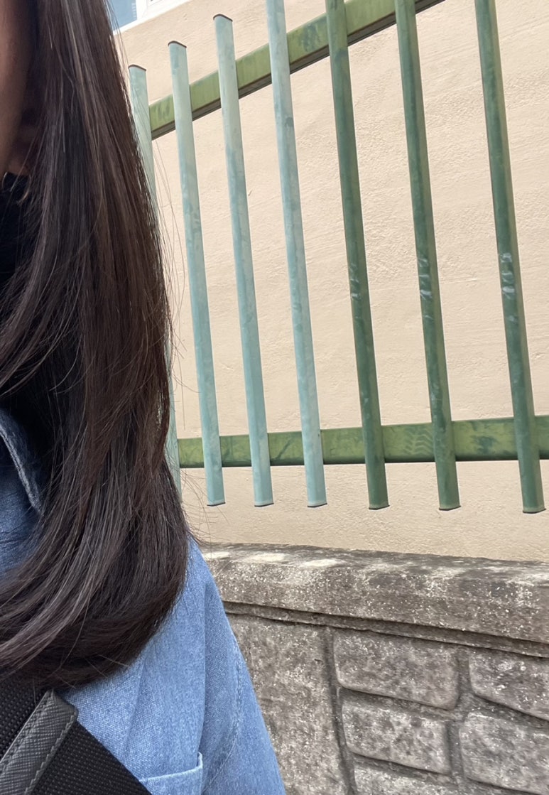 살롱드 비인 이미지