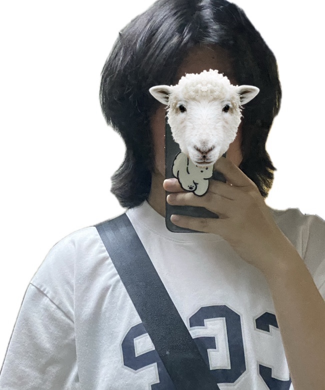아오브 이미지