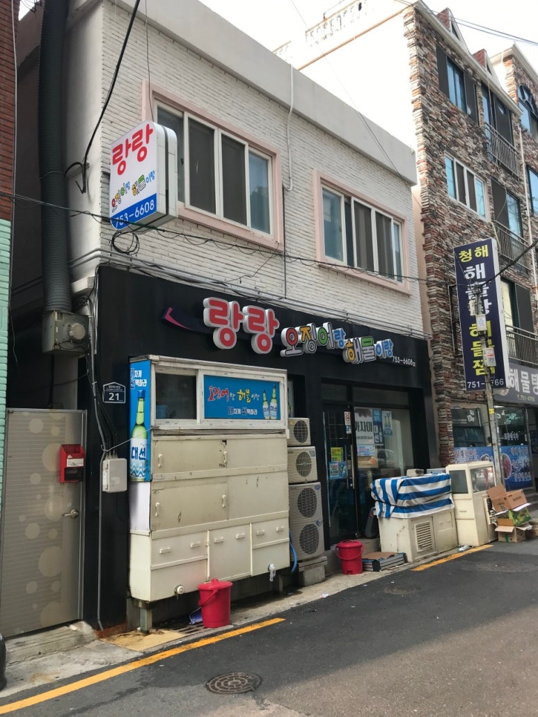 부산오징어 이미지