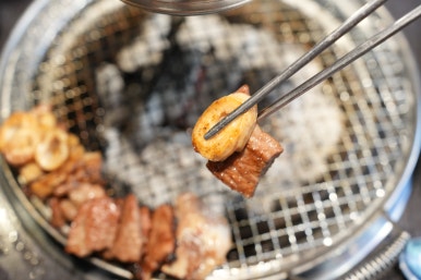 화정상회 이미지