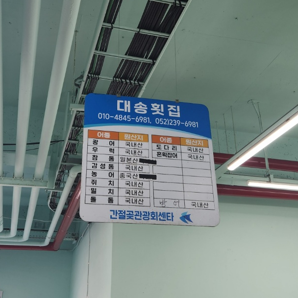 대송회센타 이미지
