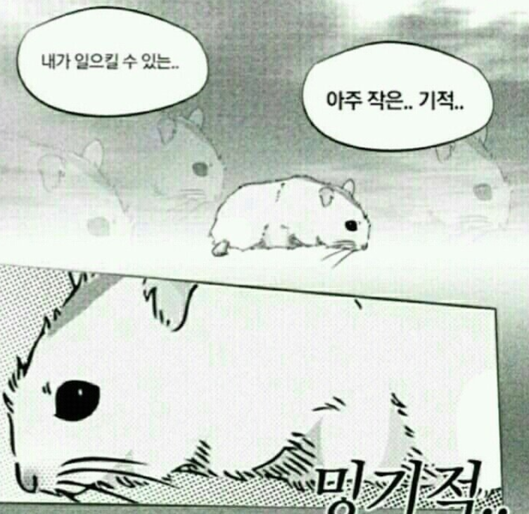 커스텀네일 이미지