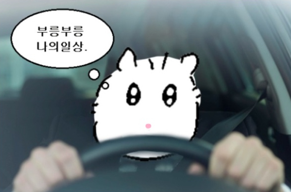 삼성자동차운전전문학원 이미지