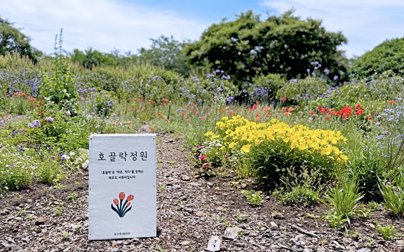 호끌락 이미지