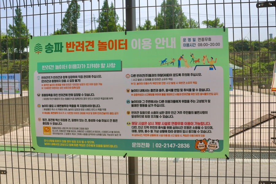 서울 송파 반려견 놀이터: 무료 애견운동장 이용 후기 — 사진 6