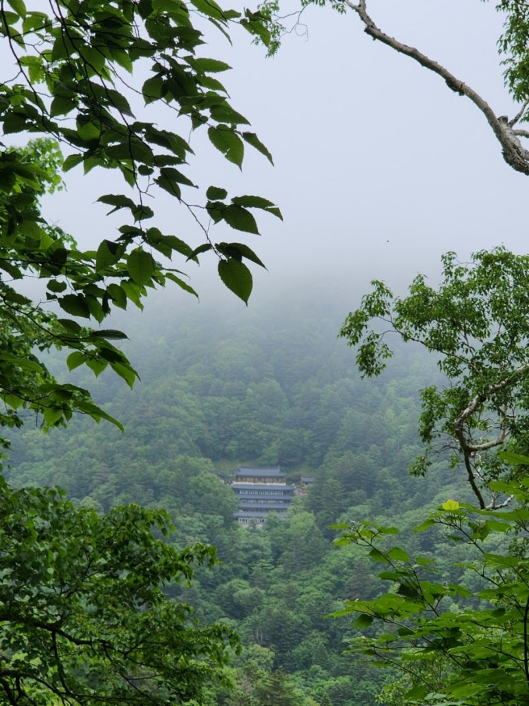 (주)담소 이미지
