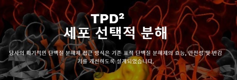 스타브릿지파트너스 이미지