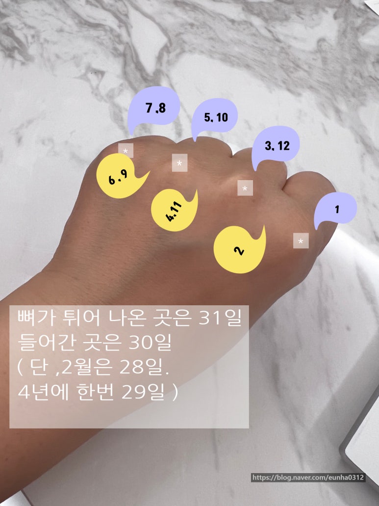 각월 이미지