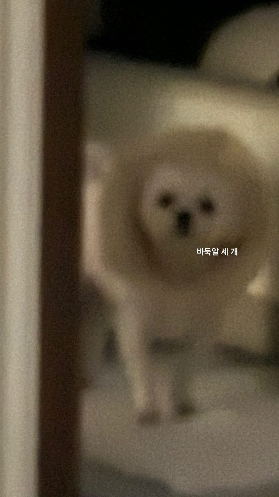 내가치킨 이미지