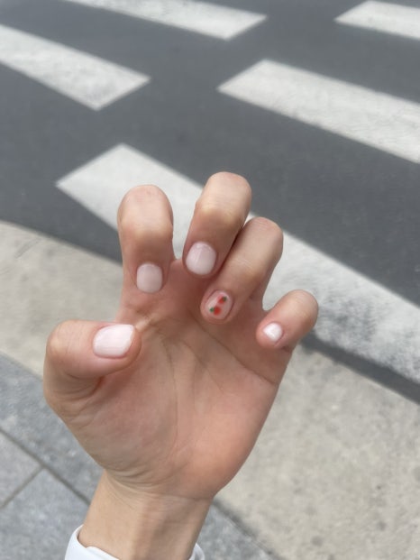 다함 여행사 이미지