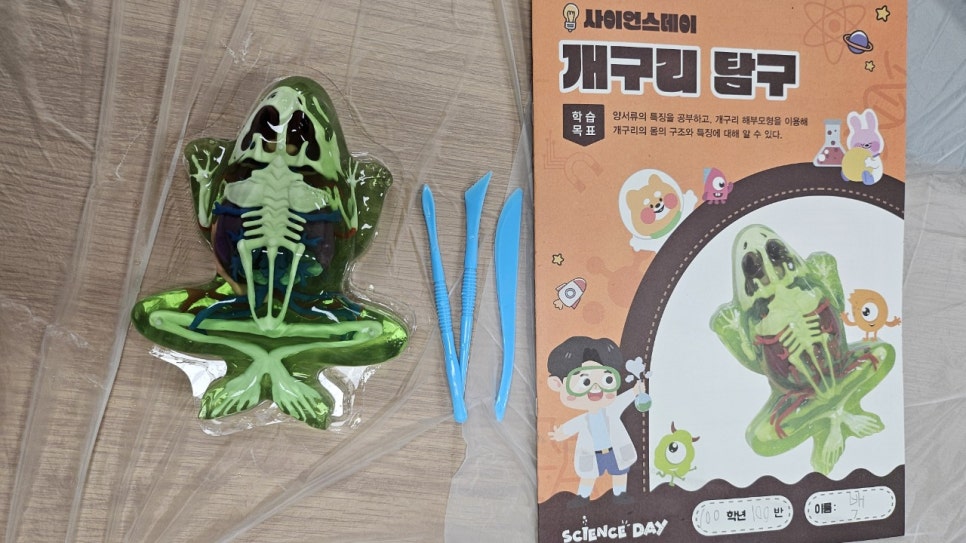 비전과학서비스 이미지