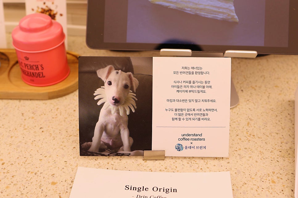 푸르레여울 이미지