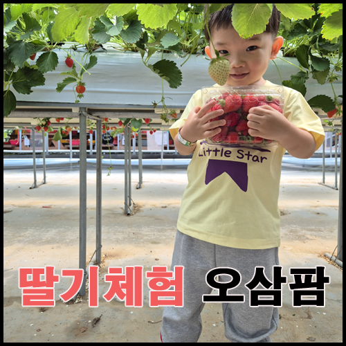오삼~팜 이미지