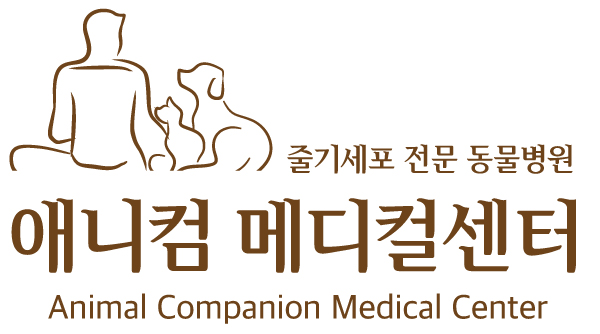 애니컴서비스 이미지