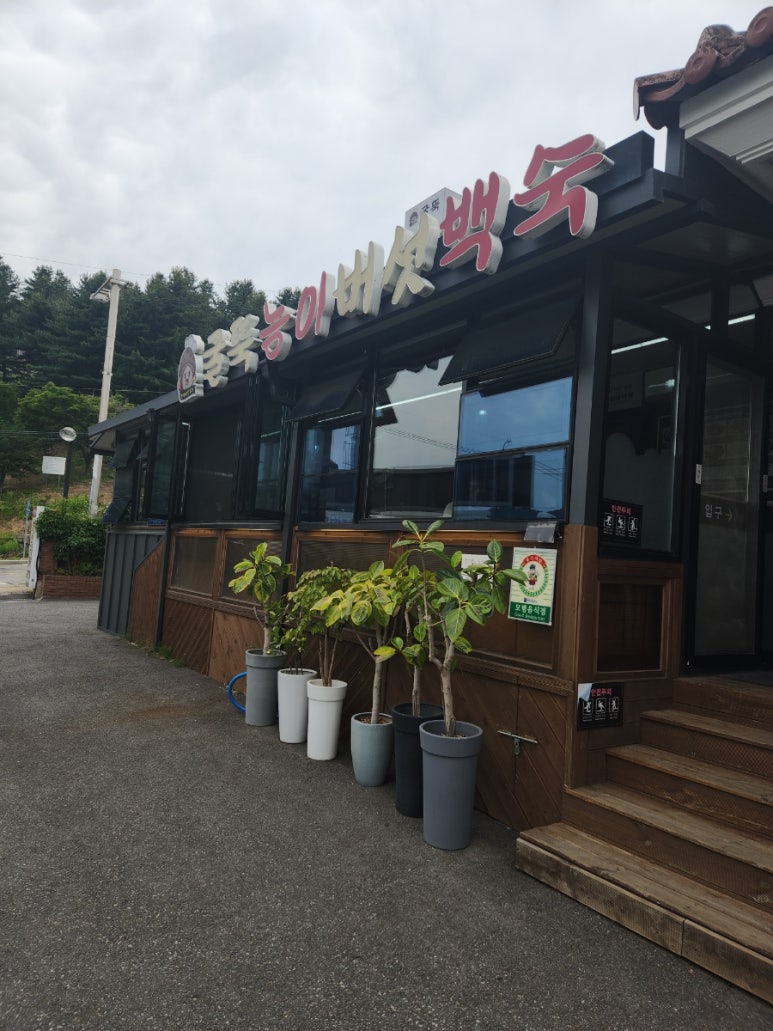 굴뚝능이버섯백숙 이미지