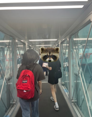 레드테이프( REDTAPE) 이미지