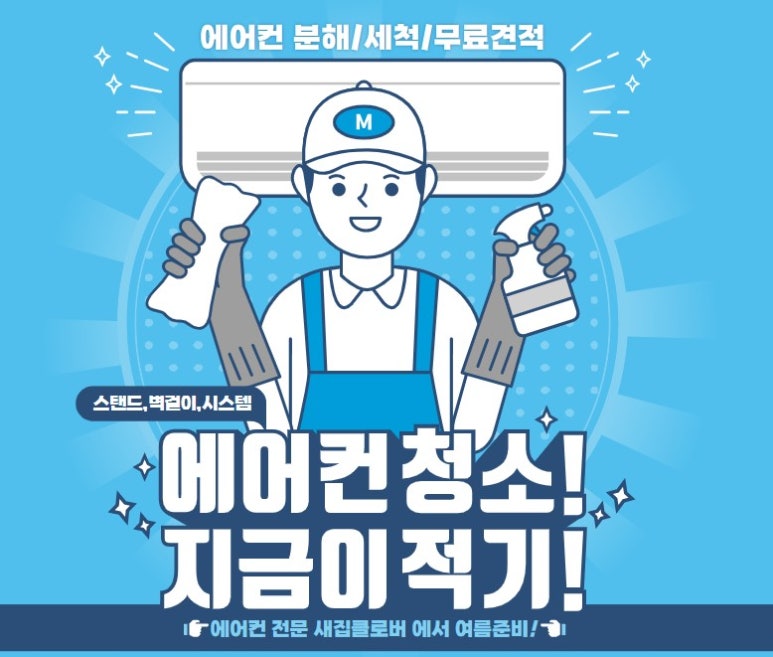 새집클로버 이미지