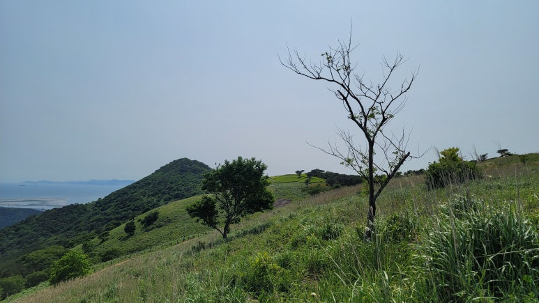 등로 주변 풍경 이미지