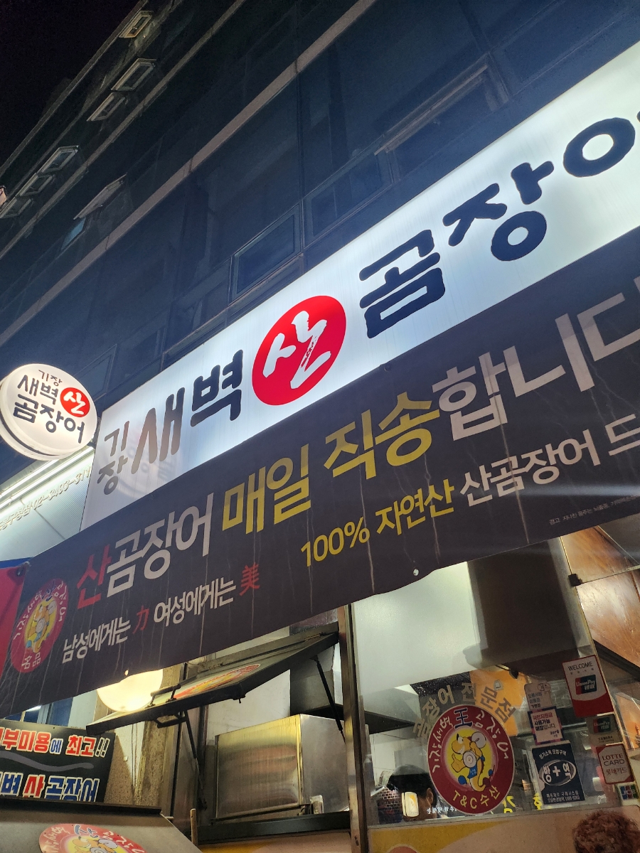 기장새벽왕곰장어 이미지
