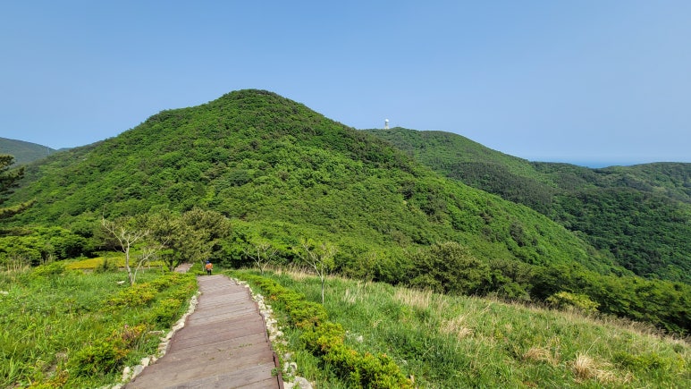 등로 주변 풍경 이미지