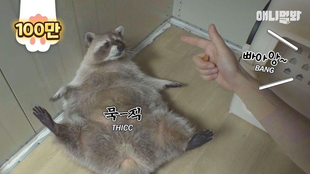 제이스타 이미지