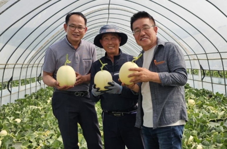 수신멜론축제추진위원회 이미지