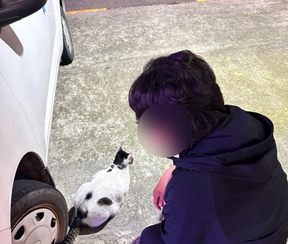 인생극장쪽갈비목포하당점 이미지