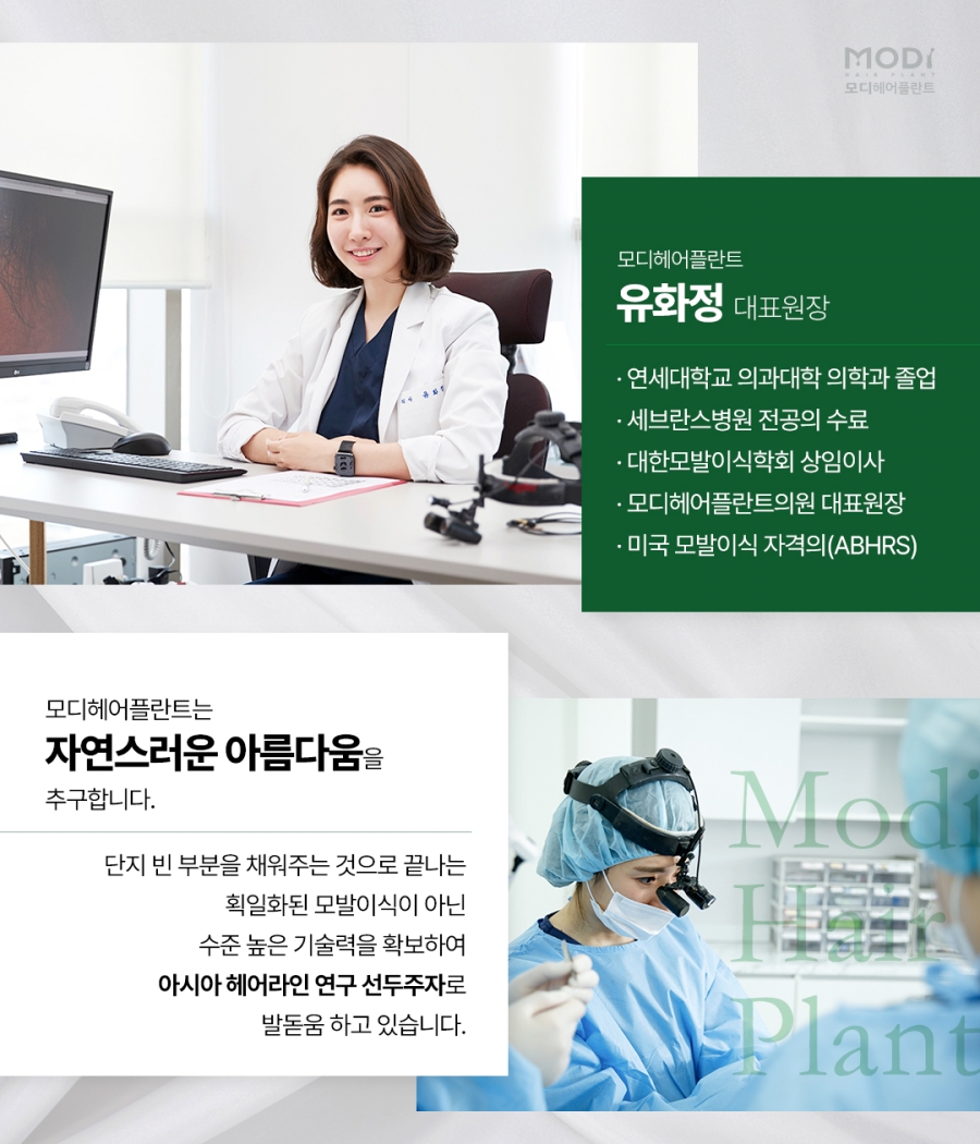 플란트열 이미지
