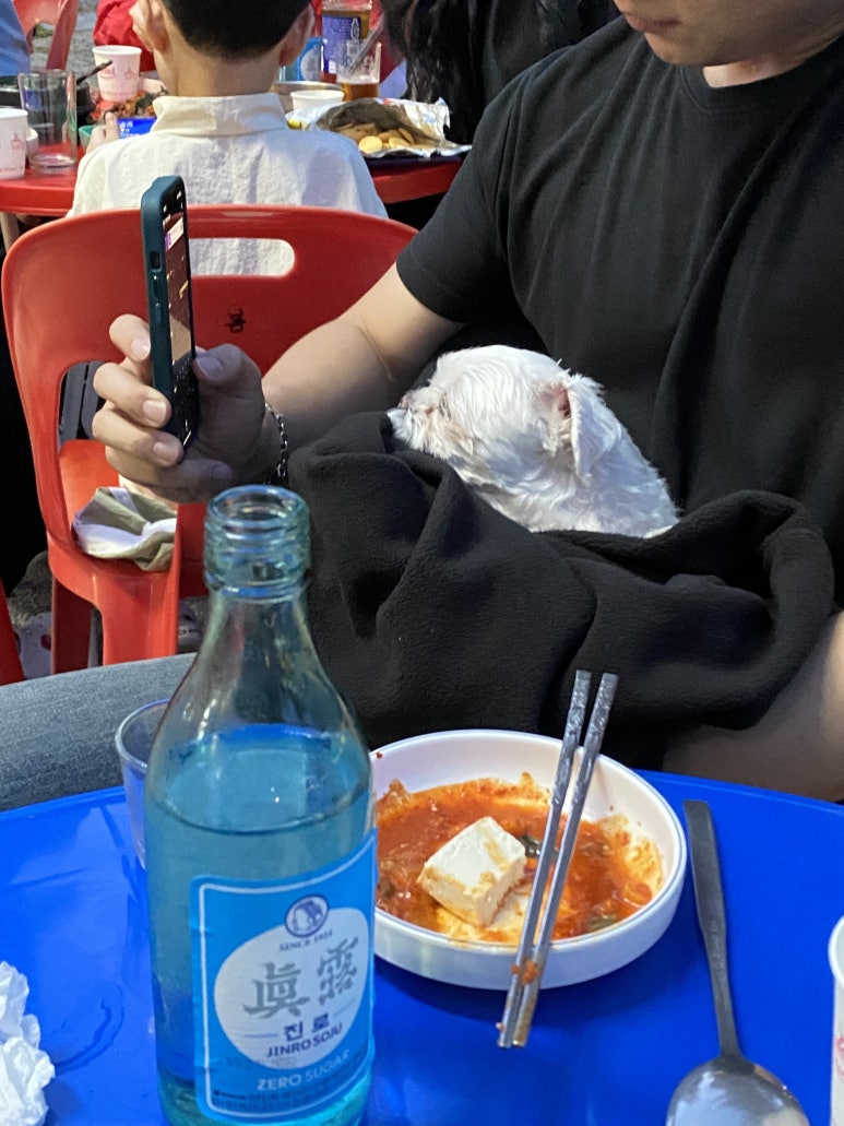 까루포차 이미지
