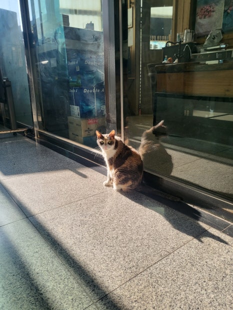 현스헤어 이미지