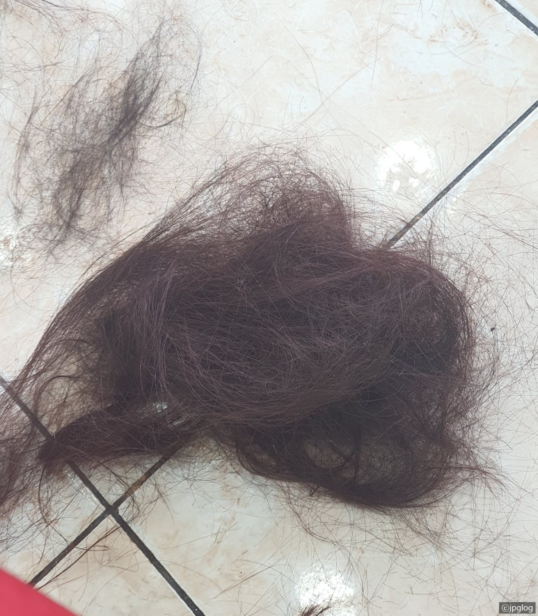 까꼬뽀꼬미용실 이미지