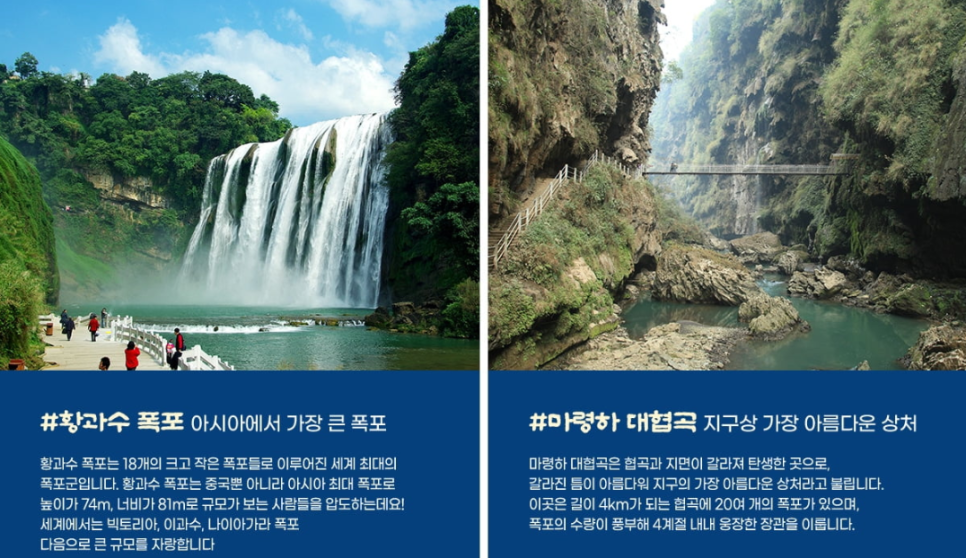 광족 이미지