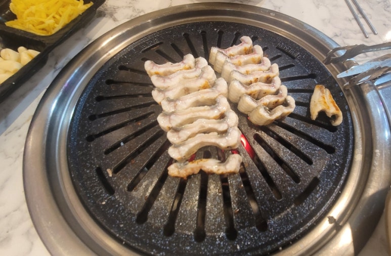 돌곶이민물장어 이미지