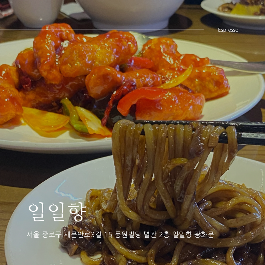 일일향 광화문점 이미지