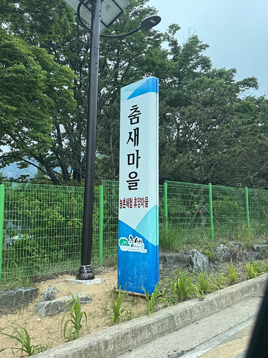 춤새마을 이미지