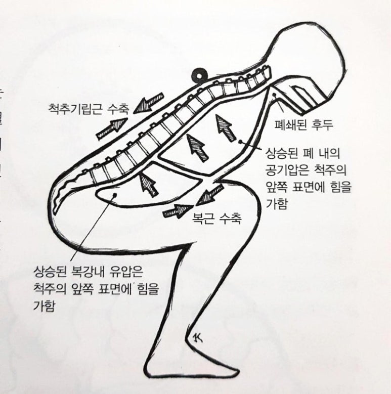 코어포스 이미지