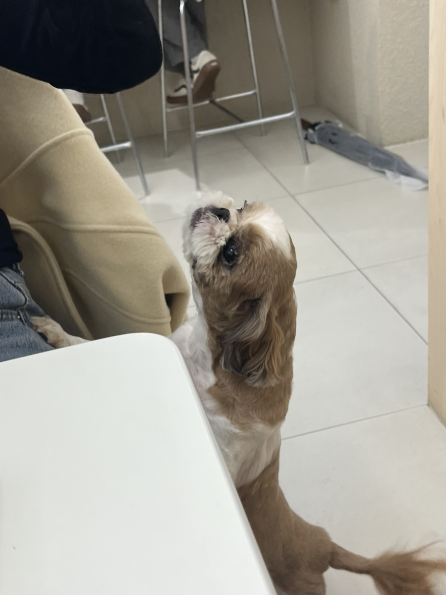 럭키베이커리 이미지