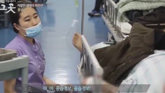 이듬해봄 이미지