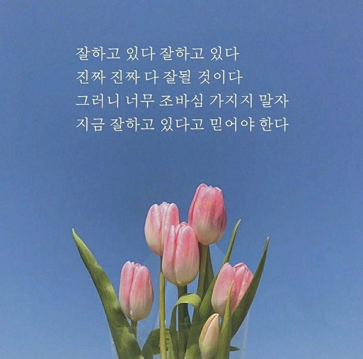왕십리정곱창 이미지