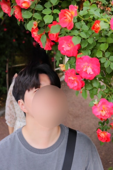 헤어레빗 이미지
