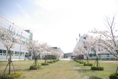 태안비상에듀기숙학원 이미지