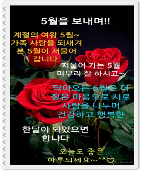 새로나전자 이미지