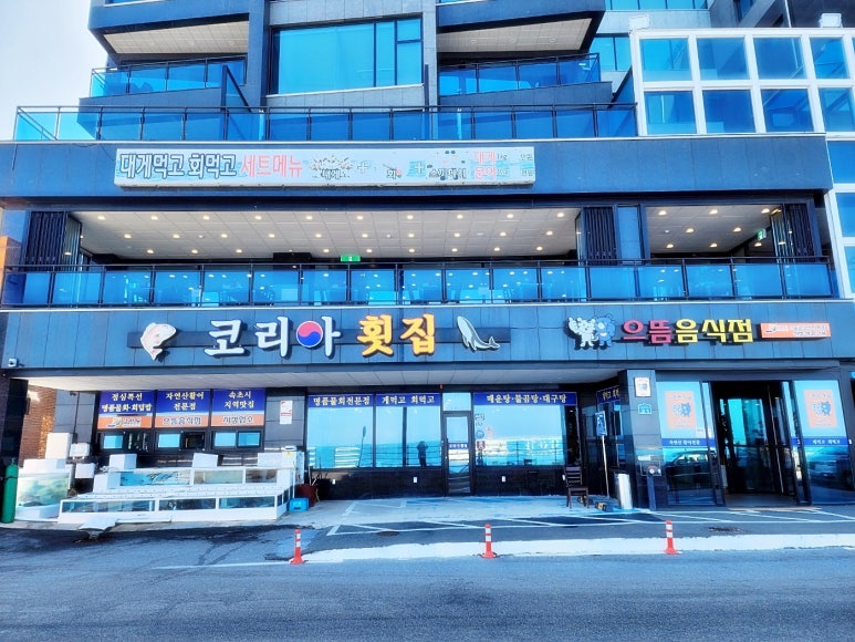 싱싱코리아 이미지