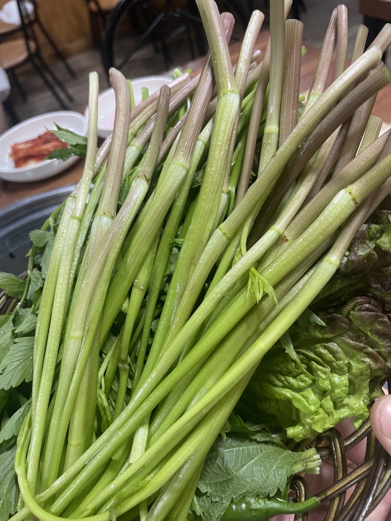 참말로육구구이 이미지