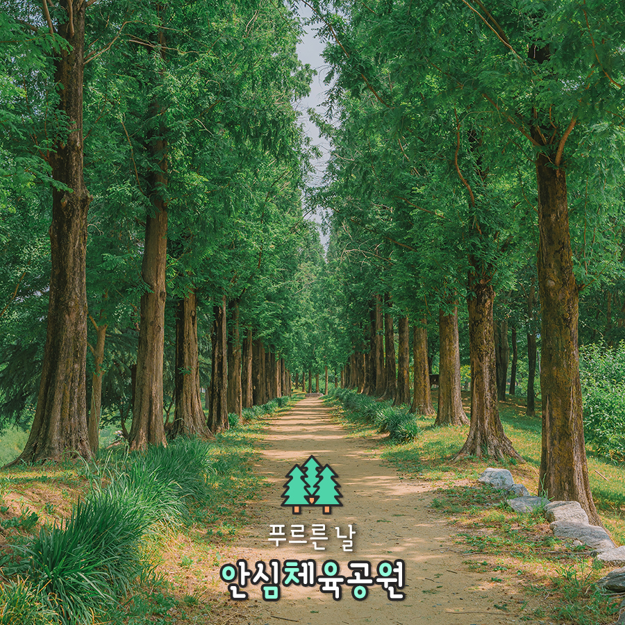 안심공원 이미지