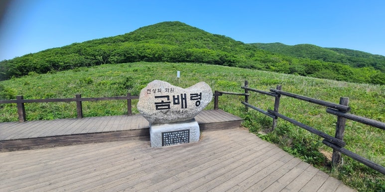 강산화원 이미지