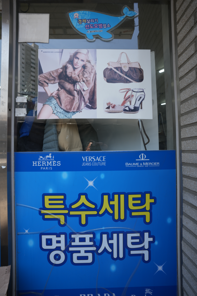 개미세탁 이미지
